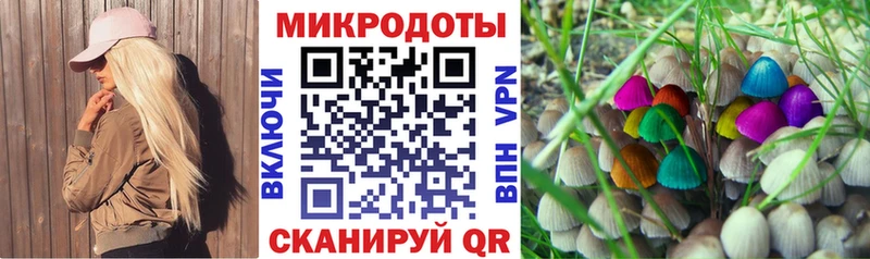 Галлюциногенные грибы MAGIC MUSHROOMS  Чайковский 