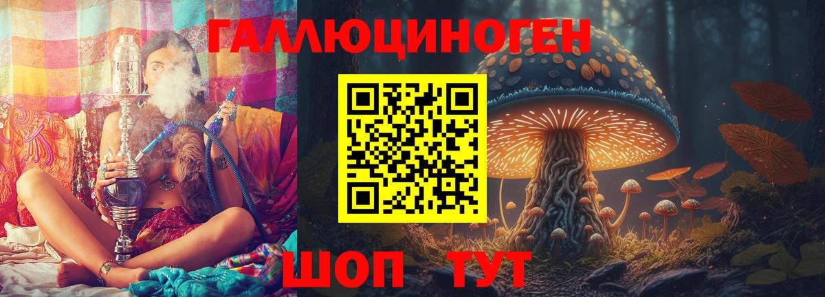 Галлюциногенные грибы Psilocybe Чайковский